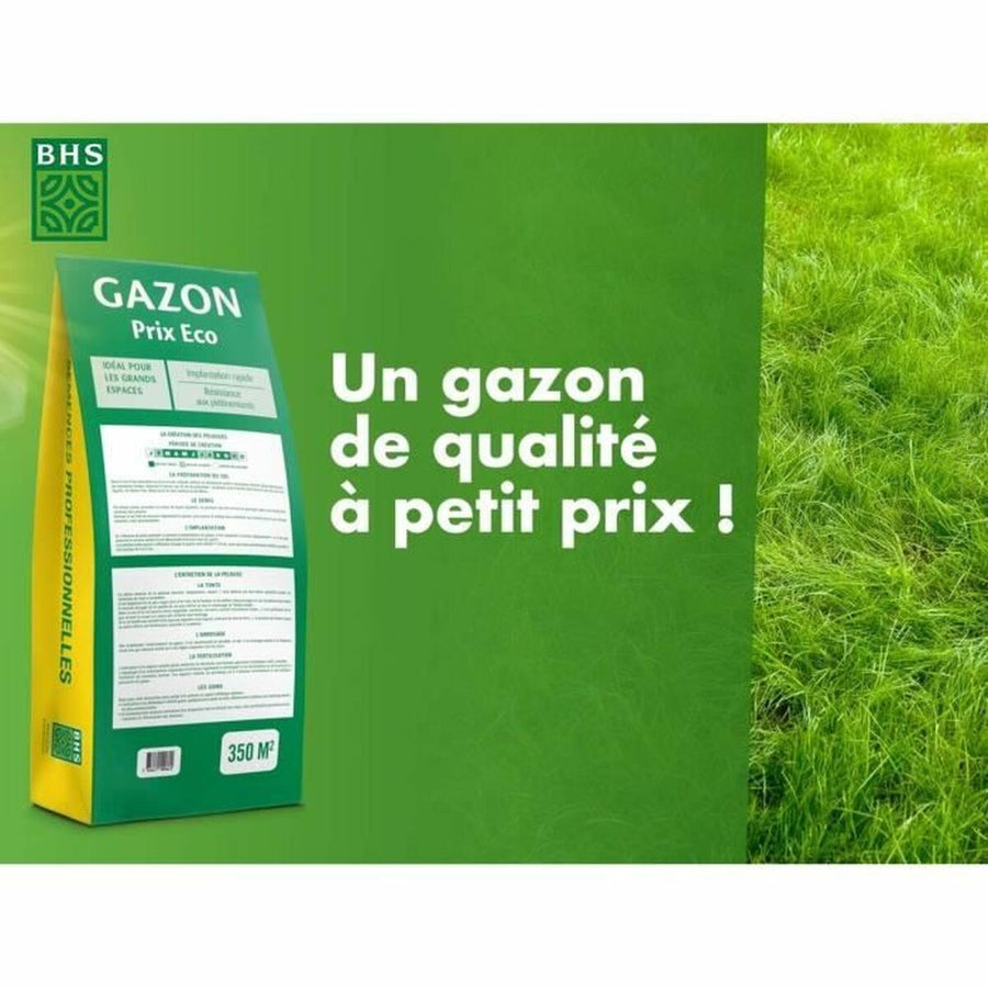 V2H9E566DDAC8B6D085D7075387C787EFA3R5808572P3